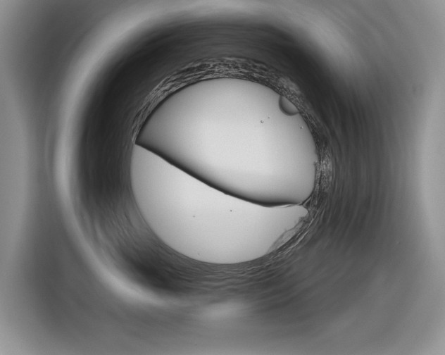 X0000116630765200912111001