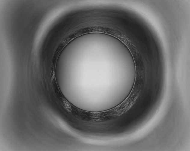 X0000116630766200912111001