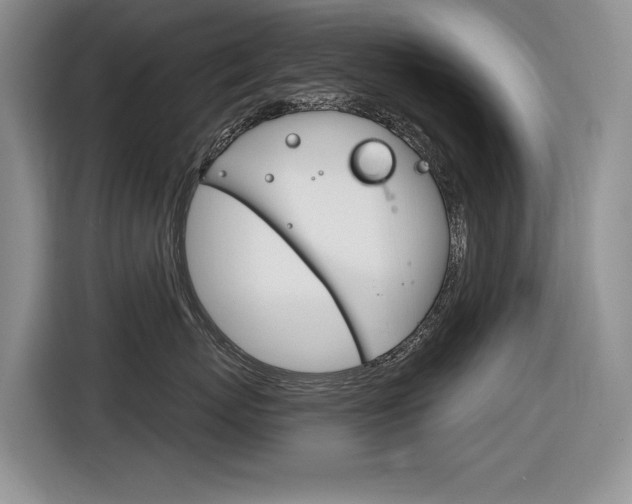 X0000116630767200912111001