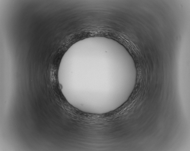 X0000116630770200912111000
