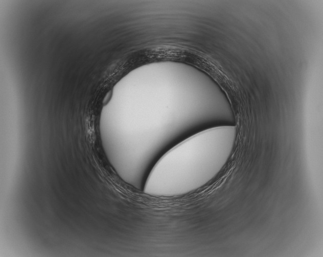 X0000116630771200912111000
