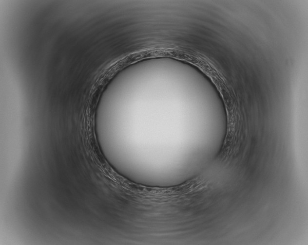 X0000116630773200912111000