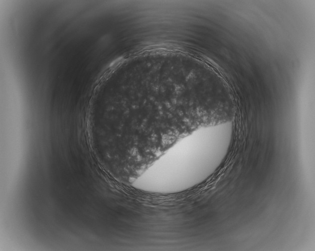 X0000116630774200912111000