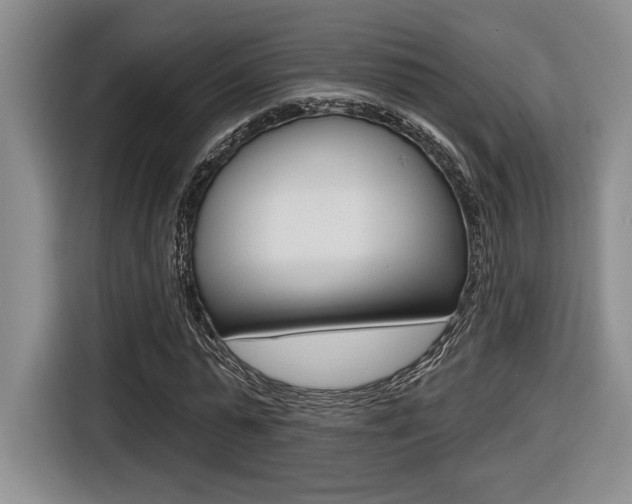 X0000116630775200912111000