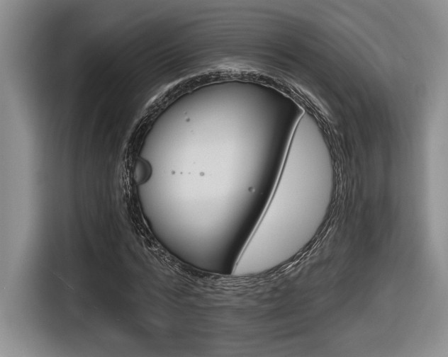 X0000116630776200912111000