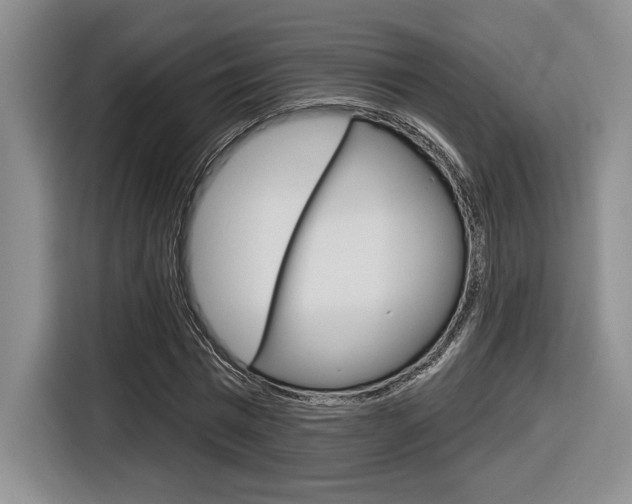 X0000116630777200912111000
