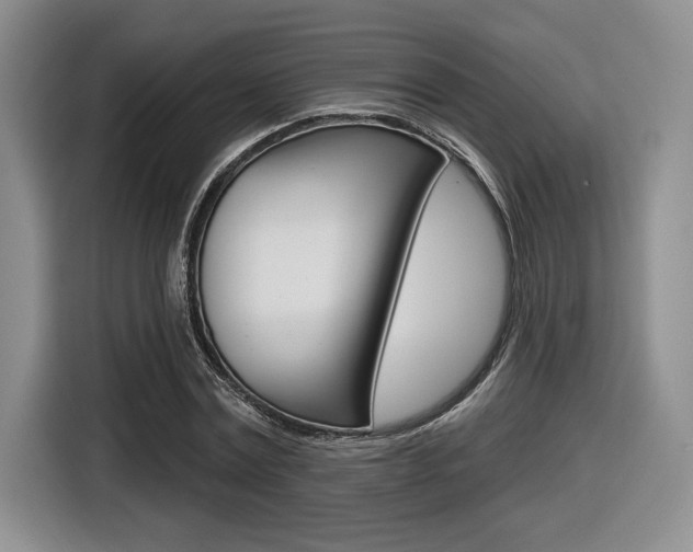X0000116630779200912111000