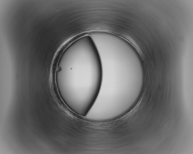 X0000116630780200912111000