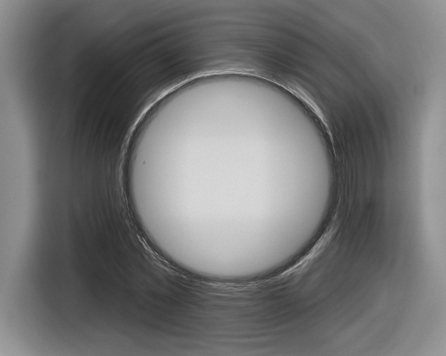 X0000116630781200912111000
