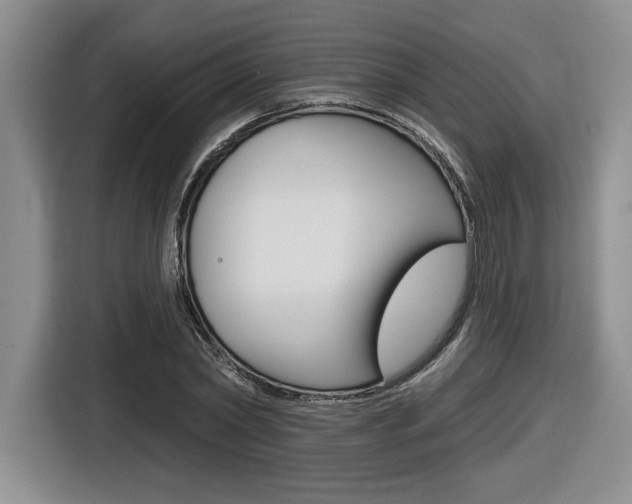 X0000116630782200912111000