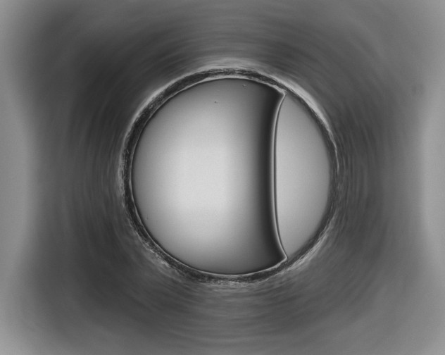 X0000116630783200912111000