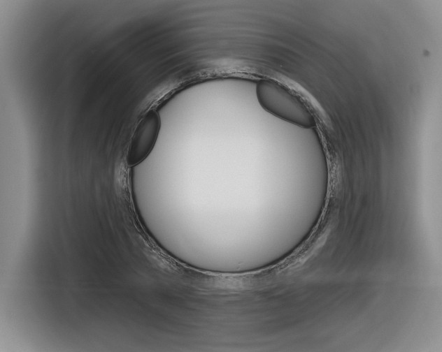 X0000116630785200912111000