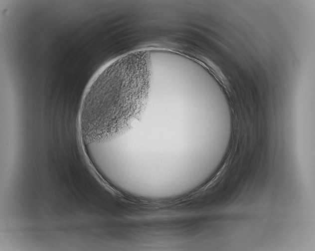 X0000116630796200912111000
