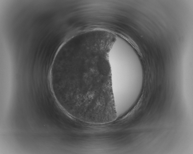 X0000116630798200912111000