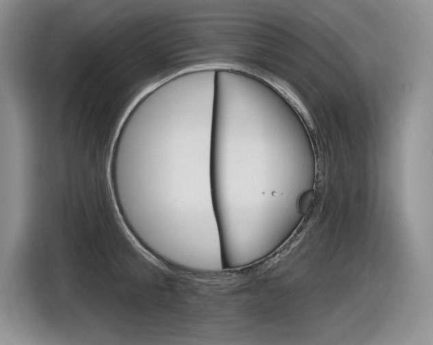 X0000116630805200912110959