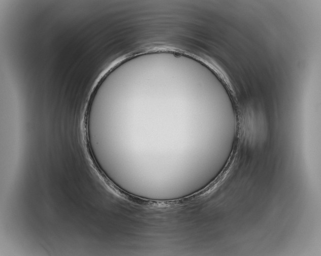 X0000116630806200912110959