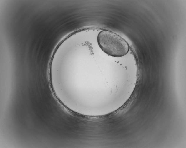 X0000116630807200912110959
