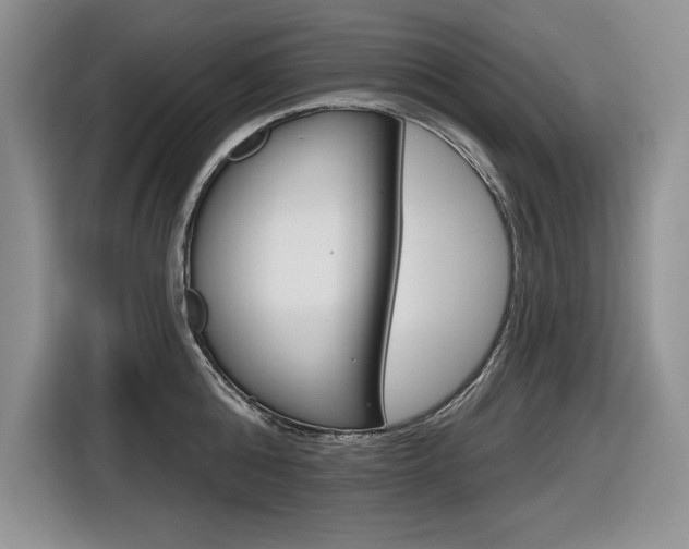 X0000116630808200912110959