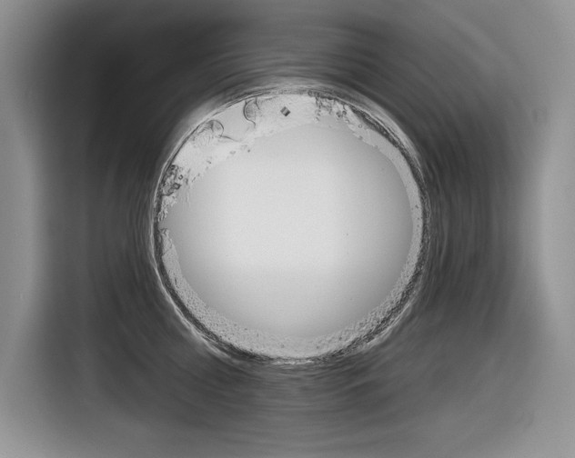 X0000116630810200912110959
