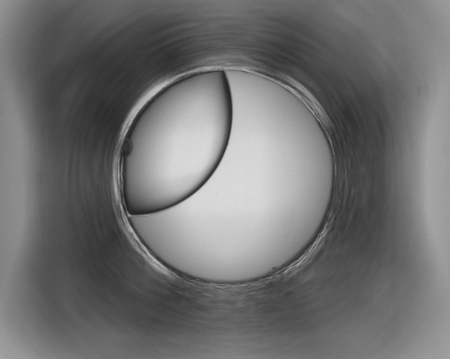 X0000116630812200912110959