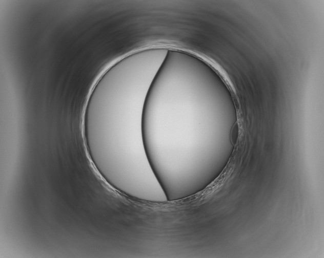 X0000116630815200912110959