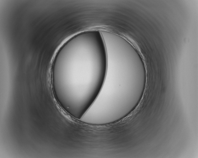 X0000116630816200912110959