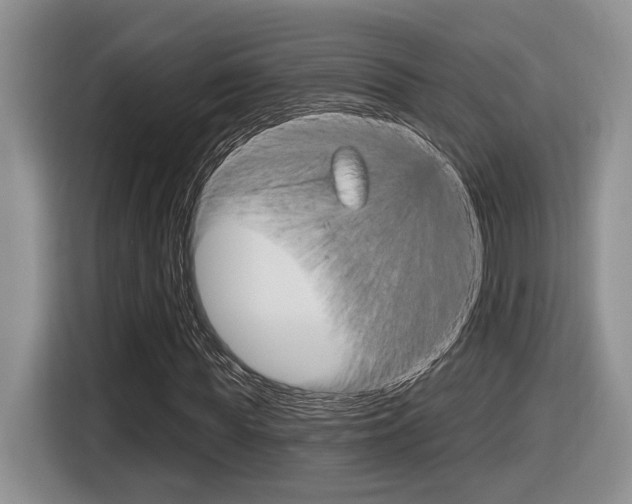 X0000116630819200912110959