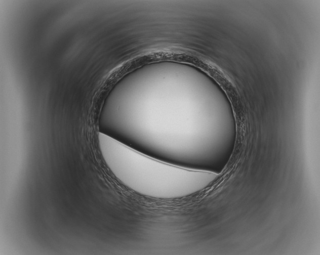 X0000116630822200912110959