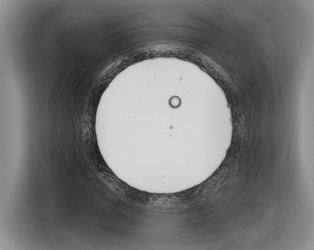 X0000116630824200912110959
