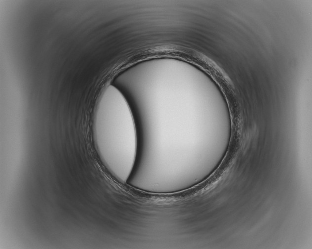 X0000116630825200912110959