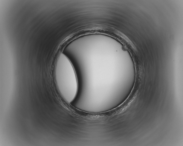 X0000116630826200912110959