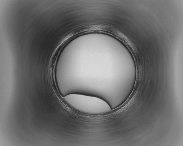 X0000116630827200912110959