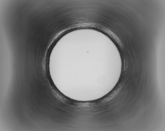 X0000116630828200912110959