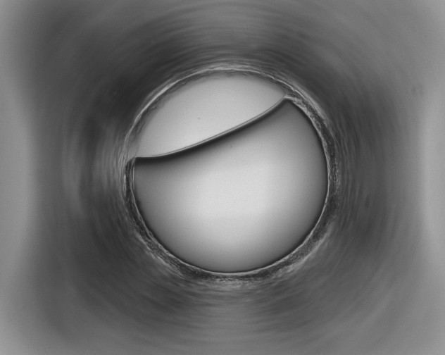 X0000116630829200912110959