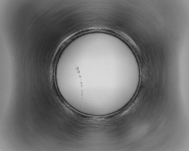 X0000116630831200912110959