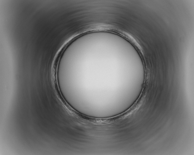 X0000116630835200912110959