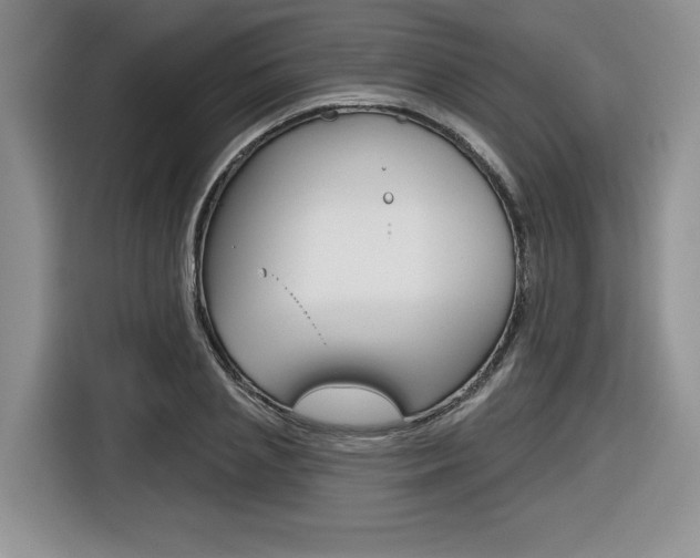 X0000116630837200912110959