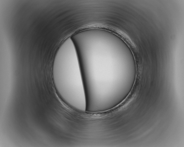 X0000116630841200912110959