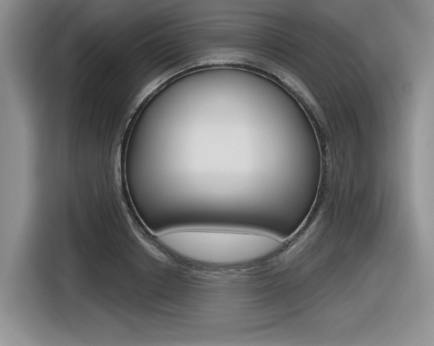X0000116630842200912110959