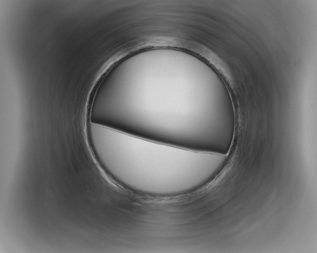 X0000116630845200912110959