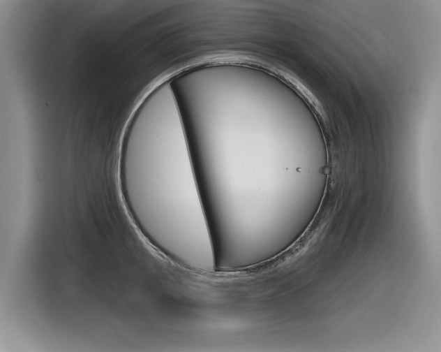 X0000116630853200912110959