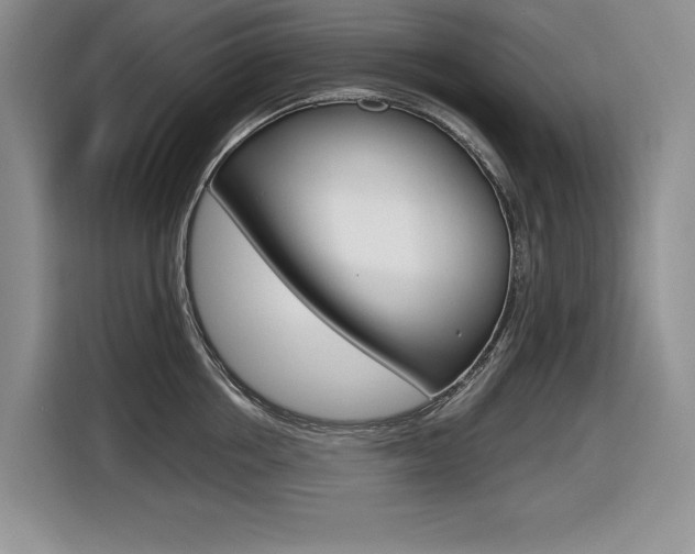 X0000116630858200912110959