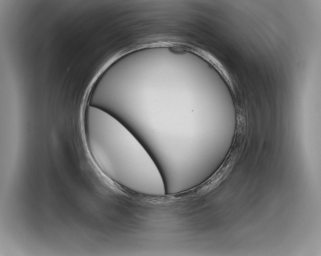 X0000116630859200912110959