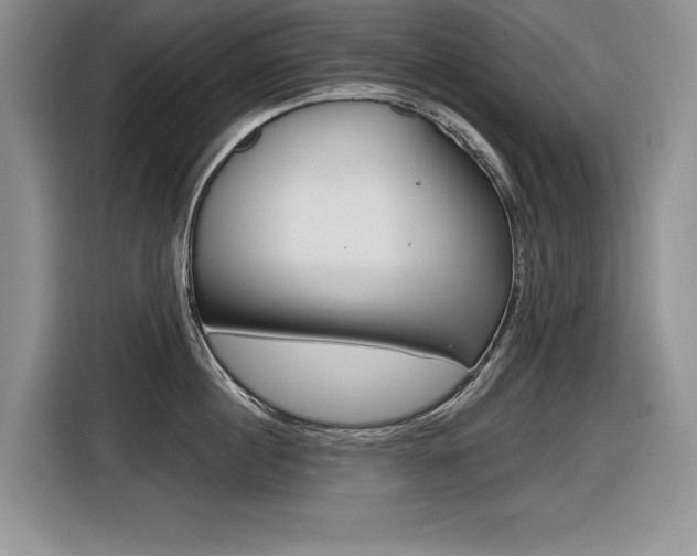 X0000116630860200912110959