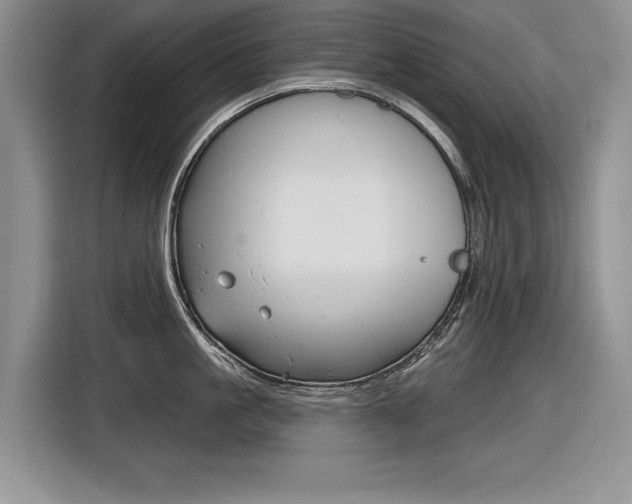 X0000116630861200912110959