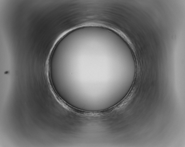 X0000116630862200912110959