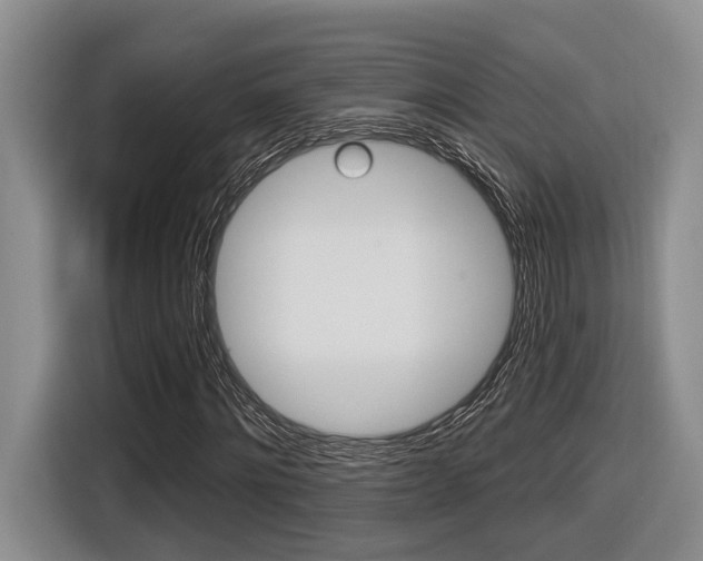 X0000116630868200912110959