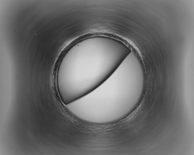 X0000116630879200912110959