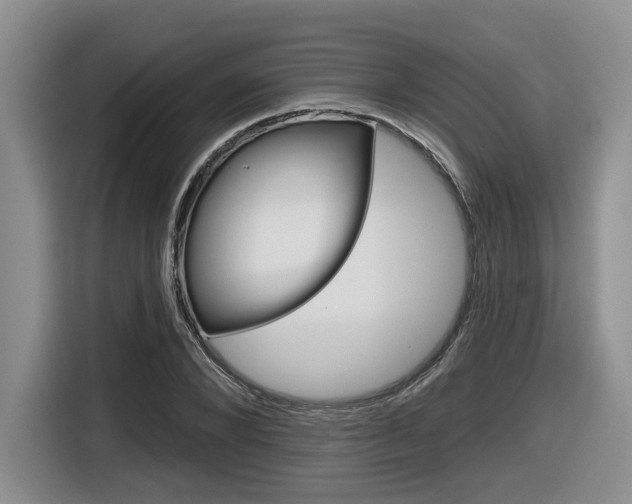 X0000116630880200912110958