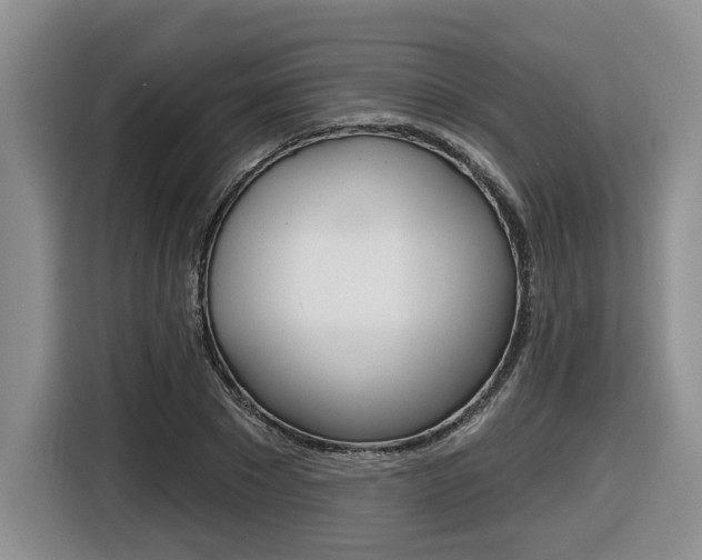 X0000116630881200912110958